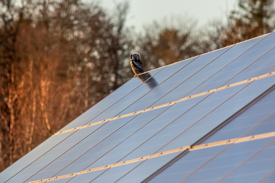 solarhouseok